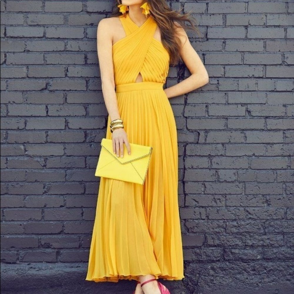 Joie Elenita Pleated Chiffon Gown NWT